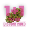Growers Choice Grapefruit x Bubblegum Autoflower Samen – Bild 5