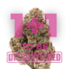 Growers Choice Silvergrape Sherbet Samen – Bild 5