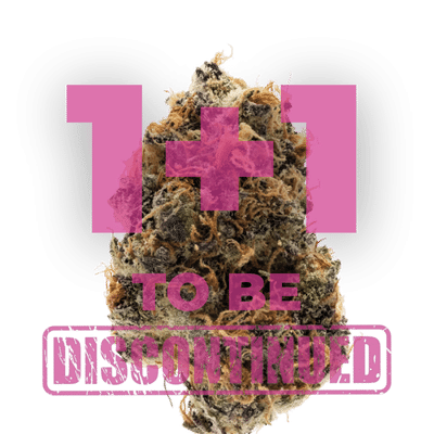 Growers Choice Watermelon Punch Autoflower Samen – Bild 4