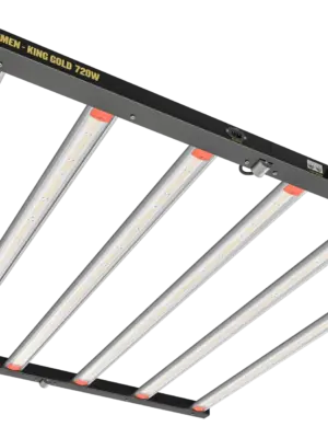 Lumen King 720w LED Gold Line