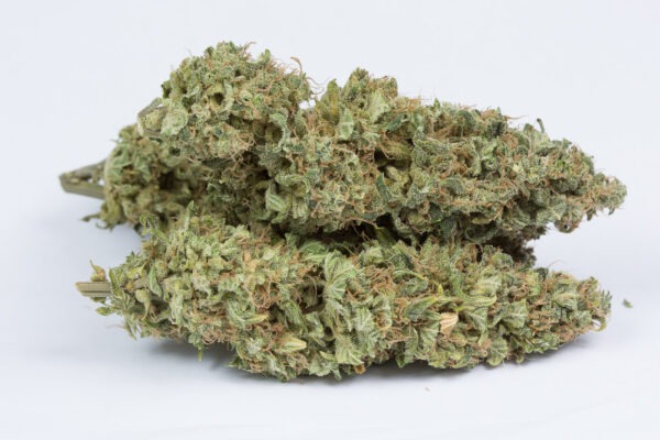 Dinafem og kush autoflowering Samen – Bild 3
