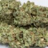 Dinafem og kush autoflowering Samen – Bild 4