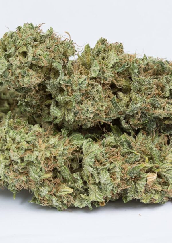 Dinafem og kush autoflowering Samen – Bild 4