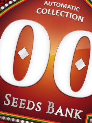 00 Seeds Auto Collection #3 6 Stk feminisiert