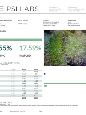 Ace Seeds cbd1 feminized seeds Samen