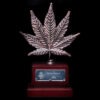 Dinafem og kush cbd Samen – Bild 3