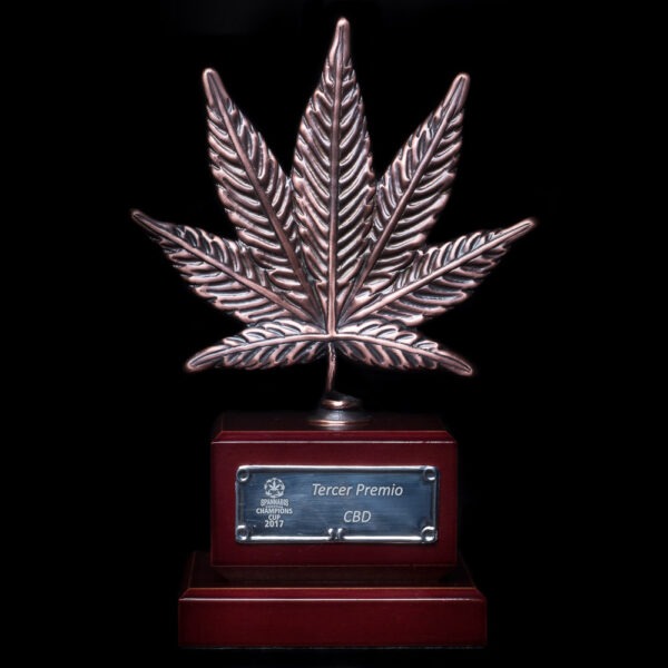 Dinafem og kush cbd Samen – Bild 3