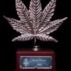 Dinafem og kush cbd Samen – Bild 4
