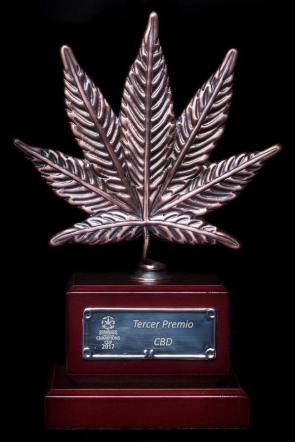 Dinafem og kush cbd Samen – Bild 4