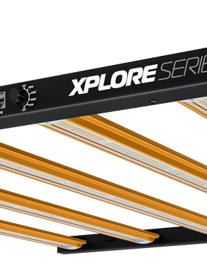 Dimlux Xplore 730W 3.0