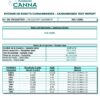 Ace Seeds erdpurt semillas feminizadas Samen – Bild 5