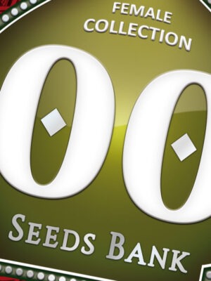 00 Seeds Female Collection #2 6 Stk feminisiert