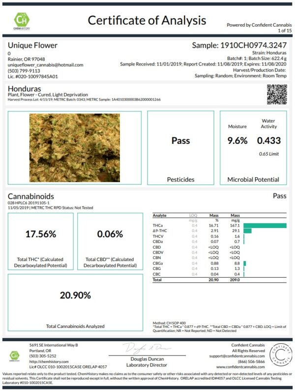 Ace Seeds honduras semillas regulares Samen – Bild 2