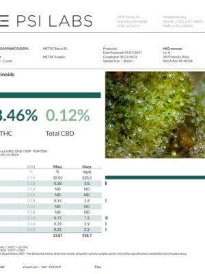 Ace Seeds killer a5 haze semillas regulares Samen