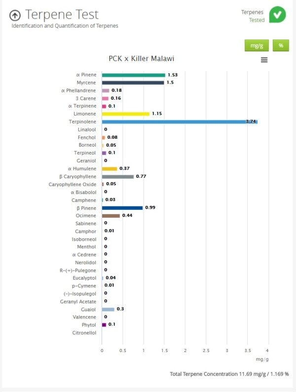 Ace Seeds malawi x pck feminized seeds Samen – Bild 4