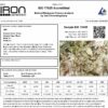 Ace Seeds malawi regular seeds Samen – Bild 4