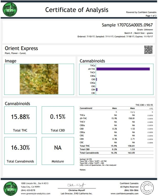 Ace Seeds orient express regular seeds Samen – Bild 2