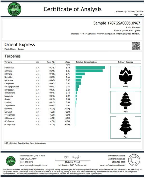 Ace Seeds orient express regular seeds Samen – Bild 4