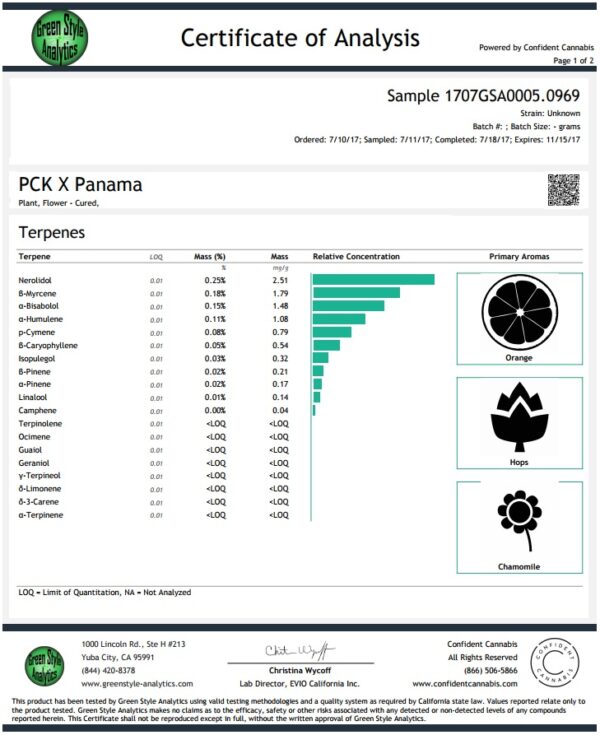 Ace Seeds panama x pck semillas feminizadas Samen – Bild 2