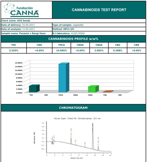 Ace Seeds panama bangi haze semillas feminizadas Samen