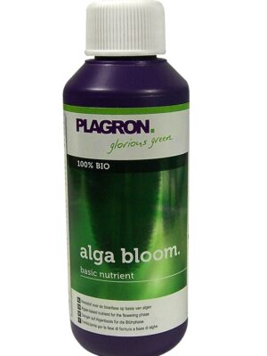 Plagron Alga Blüte 100 ml