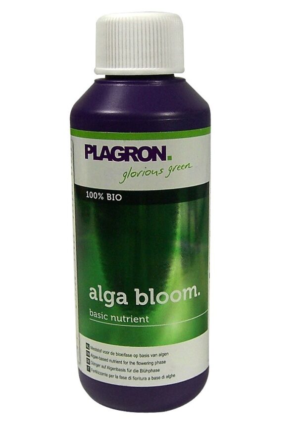 Plagron Alga Blüte 100 ml