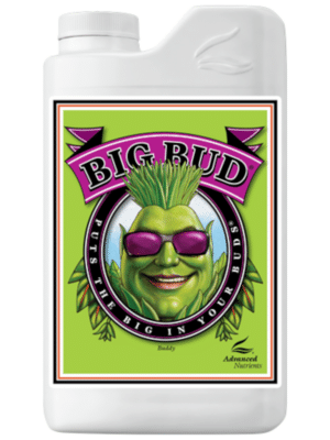 Advanced Nutrients Big Bud 10L