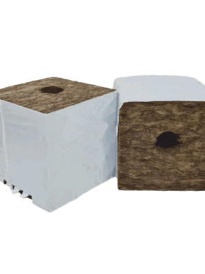Agra-Wool Speedgrow Würfel 15x15x15cm 38x35mm Loch