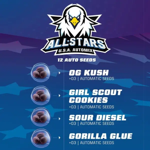 BSF Seeds all stars usa automix Samen – Bild 2