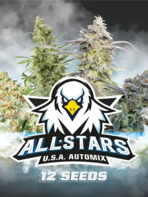 BSF Seeds all stars usa automix Samen