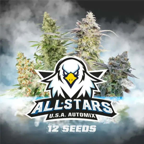 BSF Seeds all stars usa automix Samen