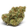 Growers Choice The Real Amnesia Autoflower Samen – Bild 2