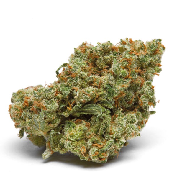 Growers Choice The Real Amnesia Autoflower Samen – Bild 2