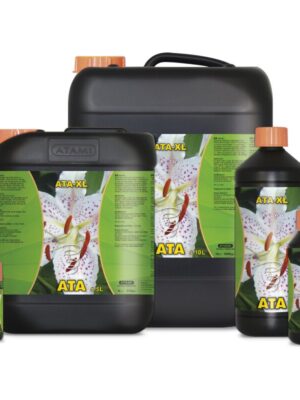 ATAMI ATA XL 10L