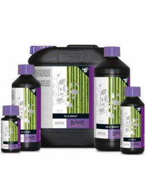 ATAMI B'Cuzz Silic Boost 500ml
