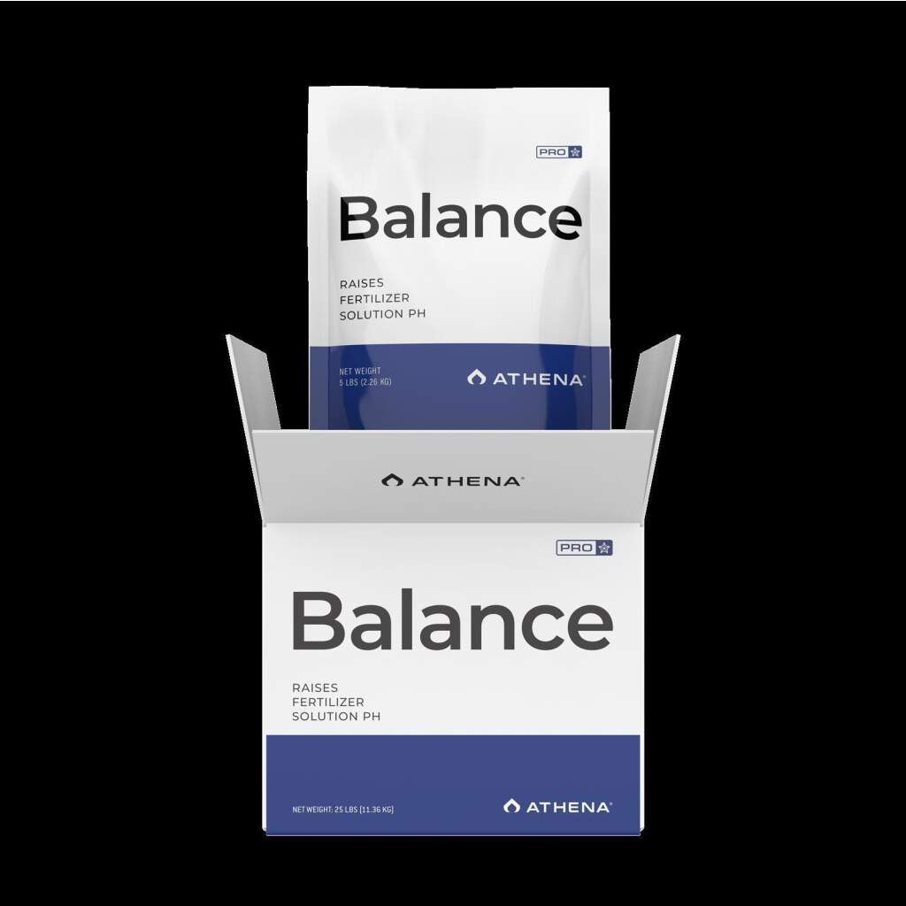 Athena Pro Line Balance 2,26kg