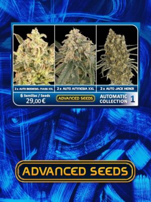 Advanced Seeds automatic collection 1 advanced seeds Samen