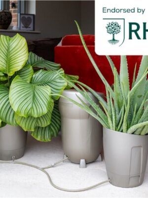 AUTOPOT Khloris Watering System Sage AUTOPOT Khloris Watering System Sage