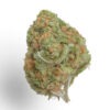 Growers Choice Banana Glue Samen – Bild 2