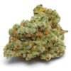 Growers Choice Banana Sherbet Samen – Bild 2