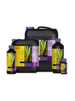 B´cuzz 1-Component Soil 5L