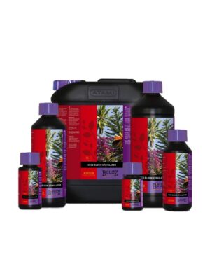 B´cuzz Coco Bloom Stimulator 1L B´cuzz Coco Bloom Stimulator 1L