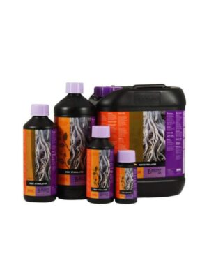 B´cuzz Root Stimulator 5L B´cuzz Root Stimulator 5L