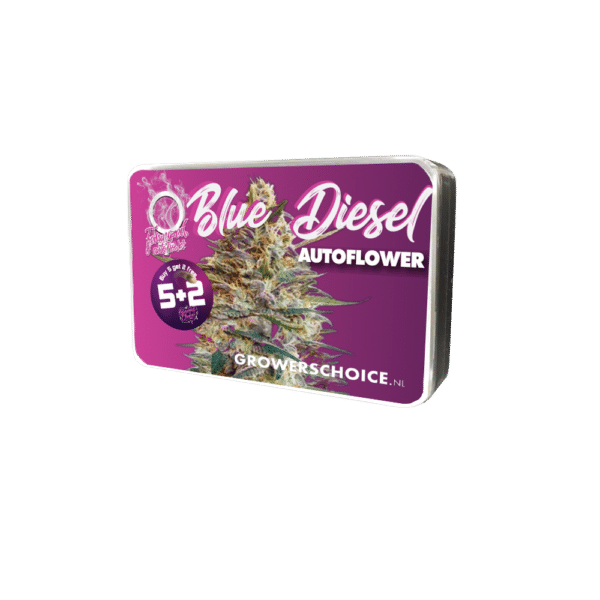 Growers Choice Blue Diesel Autoflower Samen – Bild 5