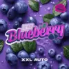 BSF Seeds blueberry xxl auto Samen – Bild 2