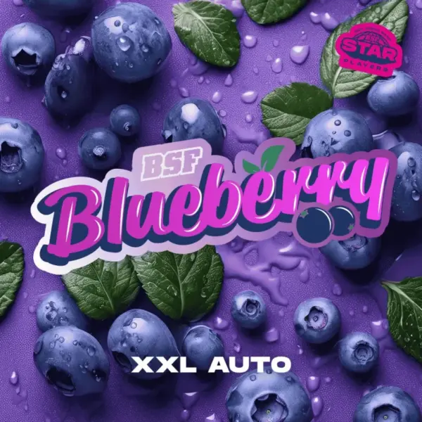 BSF Seeds blueberry xxl auto Samen – Bild 2