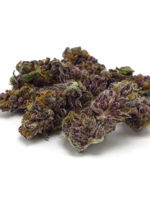Growers Choice Blue Diesel Autoflower Samen