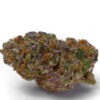 Growers Choice Blue Dream Sherbet Autoflower Samen