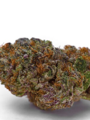 Growers Choice Blue Dream Sherbet Autoflower Samen