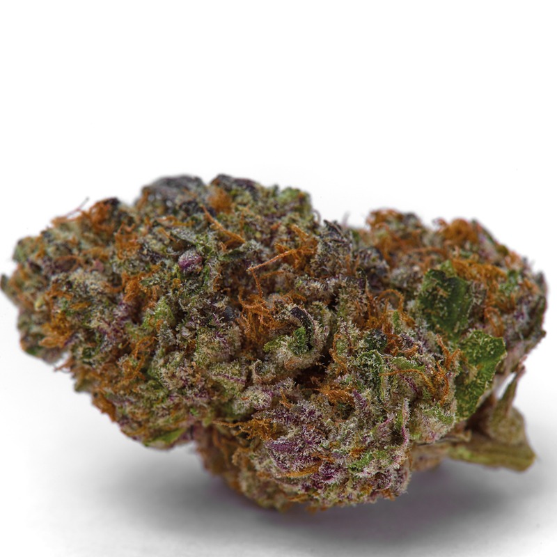 Bulk Seeds Bank vs Growers Choice: Growers Choice Blue Dream Sherbet Auto